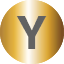 Gold Initial Y