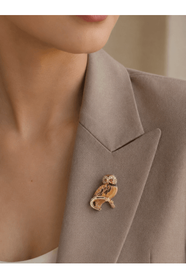 Wise Owl Enamel & Crystal Brooch